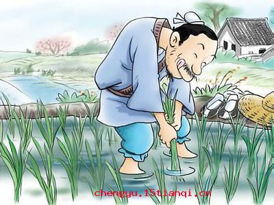 脱胎换骨的故事_脱胎换骨典故